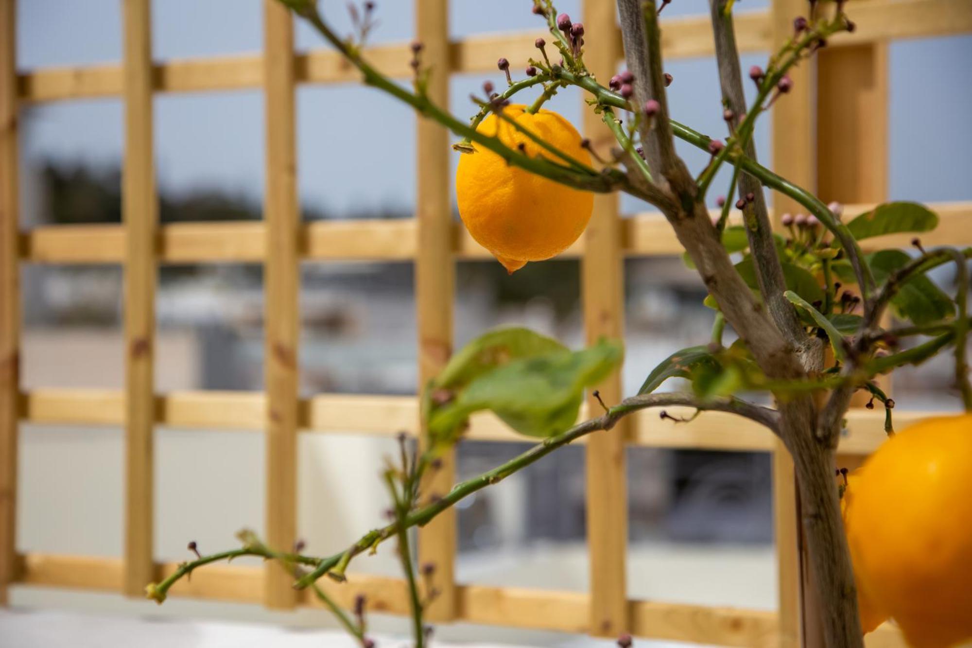 Ourania By Heloni Apartments Athena Bagian luar foto